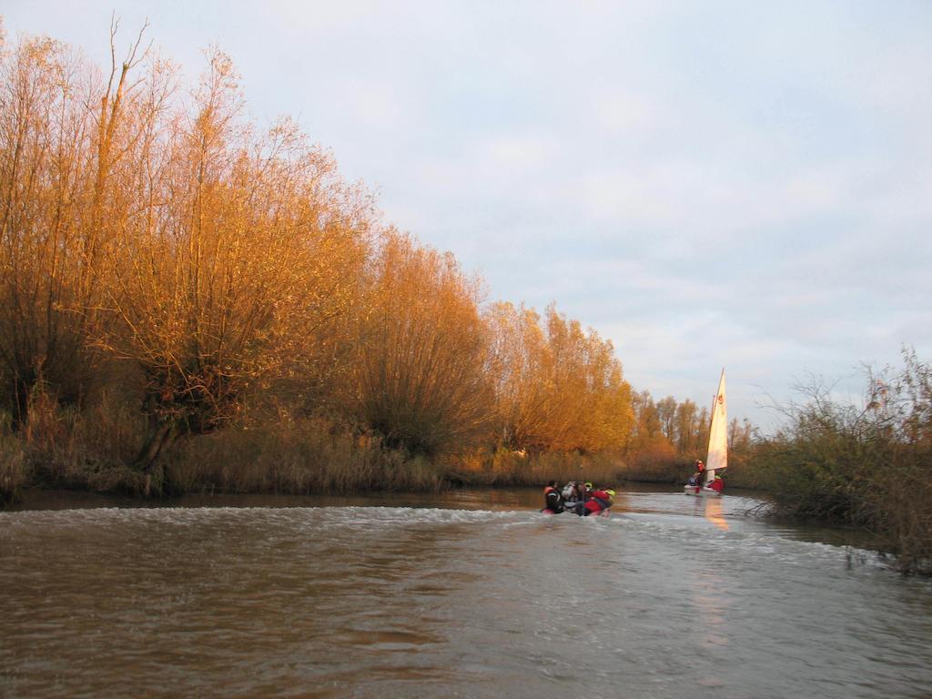 Bed And Breakfast De Biesbosch - In 'T Riet Drimmelen Bagian luar foto